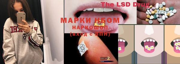 индика Лихославль